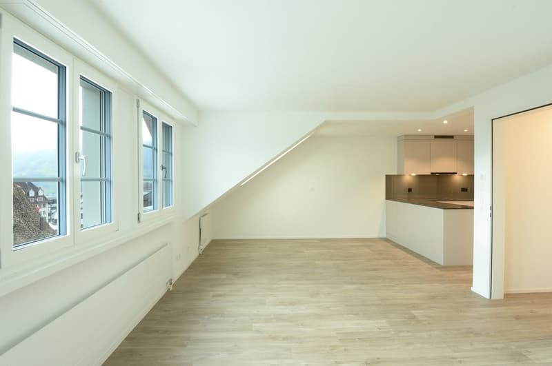 Herrengasse_13__4.OG_4.5Z_3329.jpg