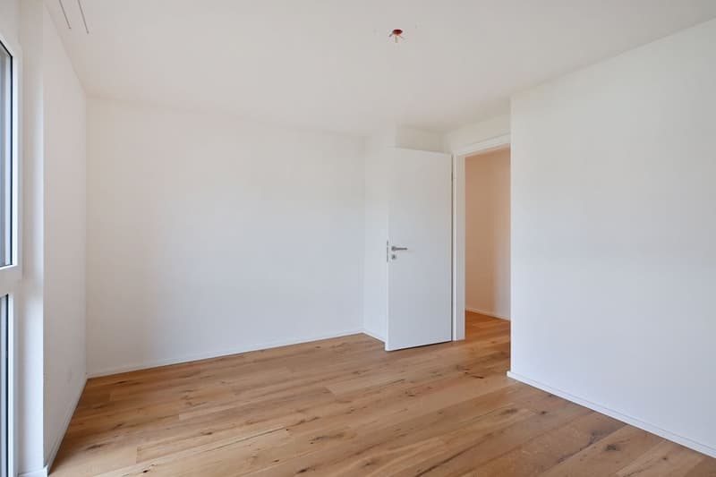 Zimmer3-Z50_8721-WEB.jpg