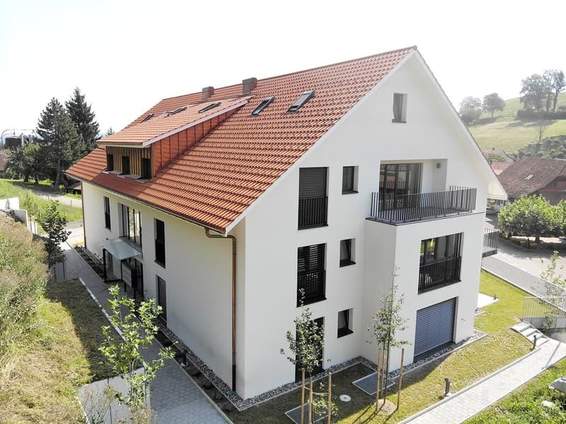 projekt-hettenschwil-3.png