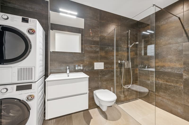 Helle 3.5 Zimmer Wohnung im 2. OG mit toller Aussicht! - Leuggern (6)