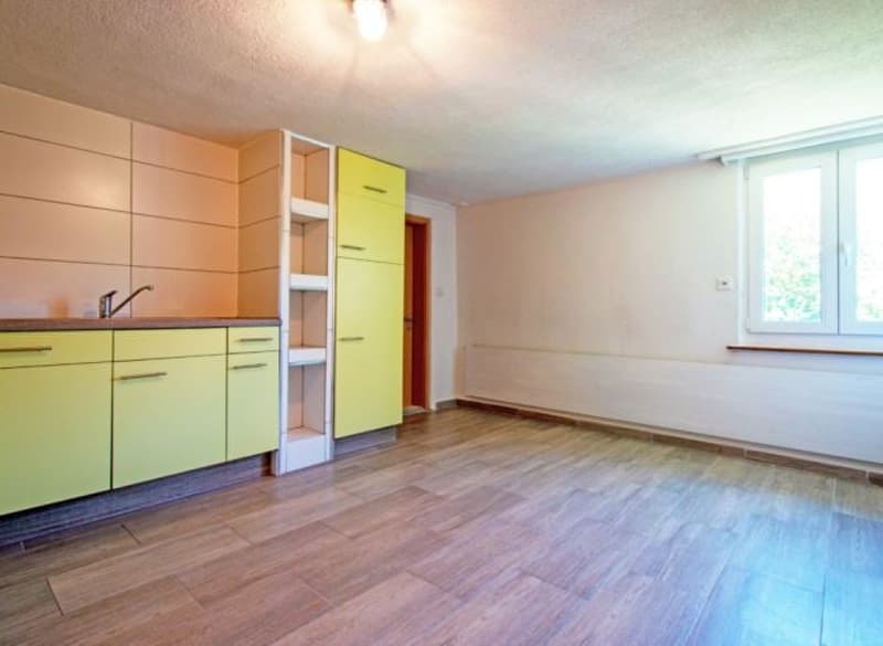 Heimelige Wohnung auf dem Lande (11)