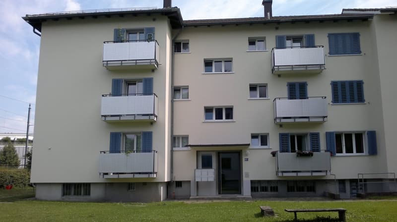 1-Zimmerwohnung in Adliswil (1)