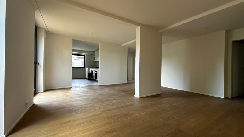 Exclusive apartment with private garden - First occupancy after core renovation (13)