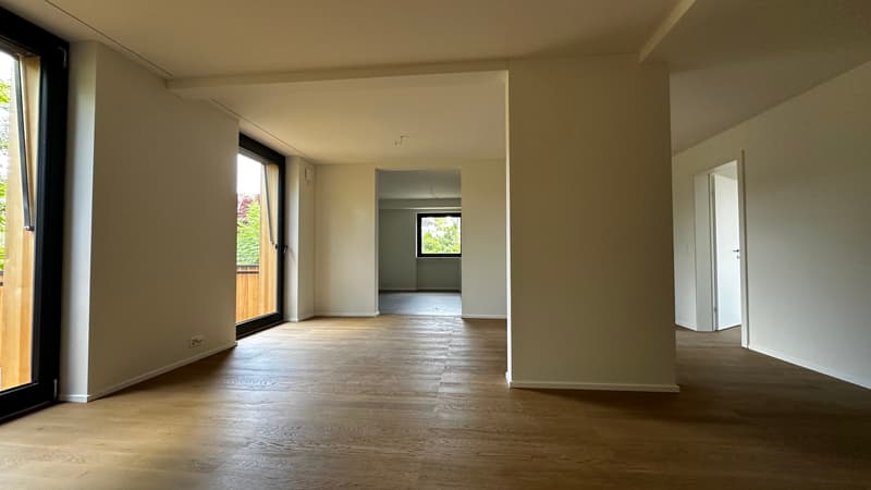 Exclusive apartment with private garden - First occupancy after core renovation (12)