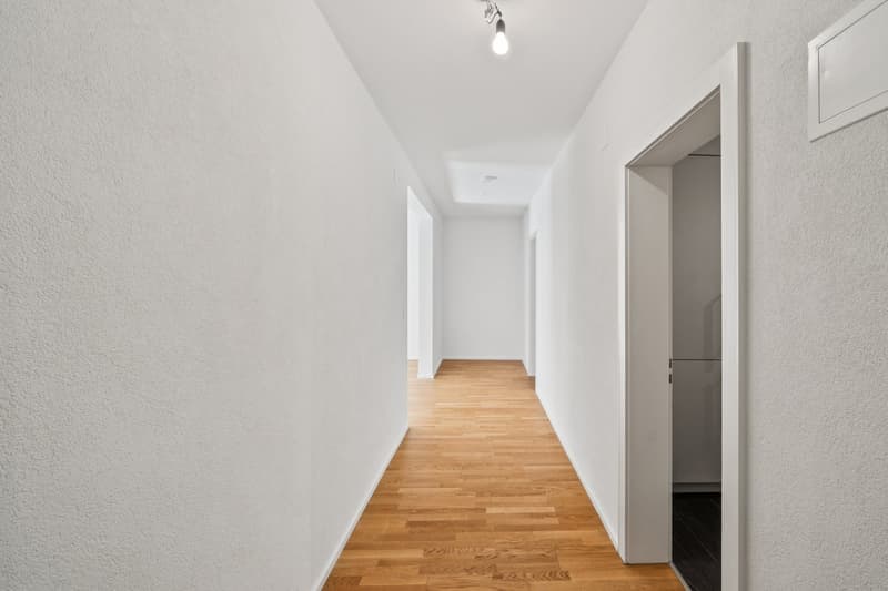 Appartement 3.5 pièces à louer à proximité immédiate de l'hôpital universitaire de Zurich (3)