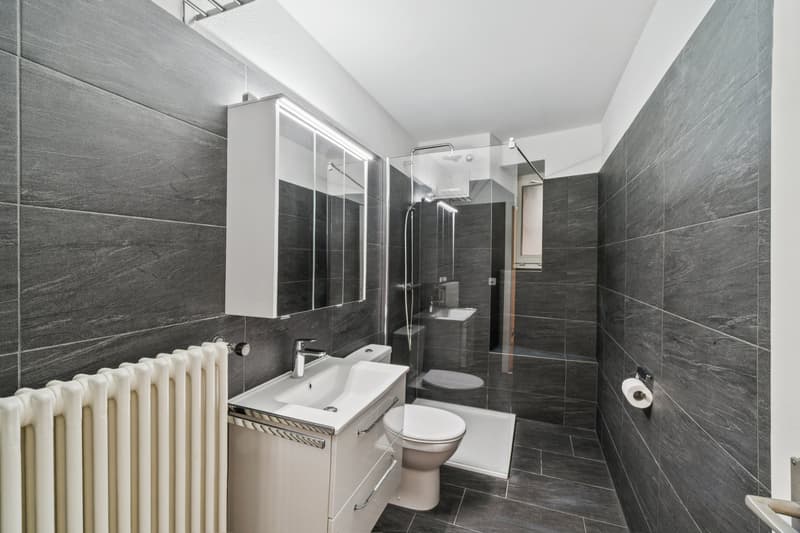 Appartement 3.5 pièces à louer à proximité immédiate de l'hôpital universitaire de Zurich (5)