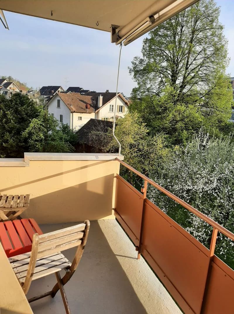 Vivre à Affoltern am Albis (8)