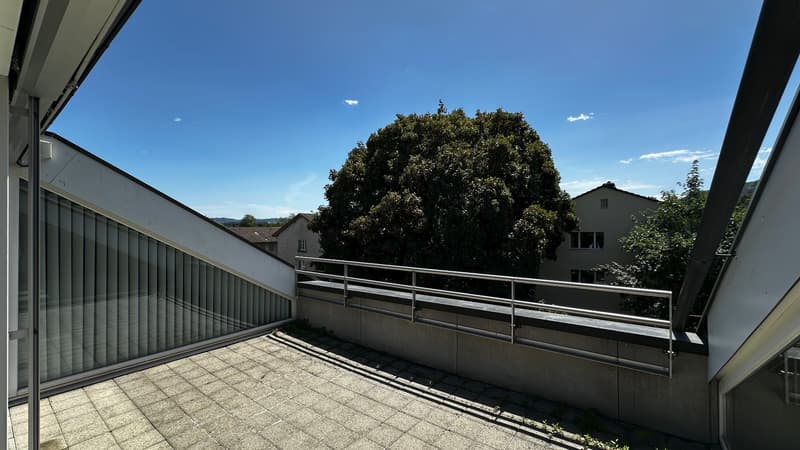 2.5-Room Loft-Style Apartment for Rent (5)