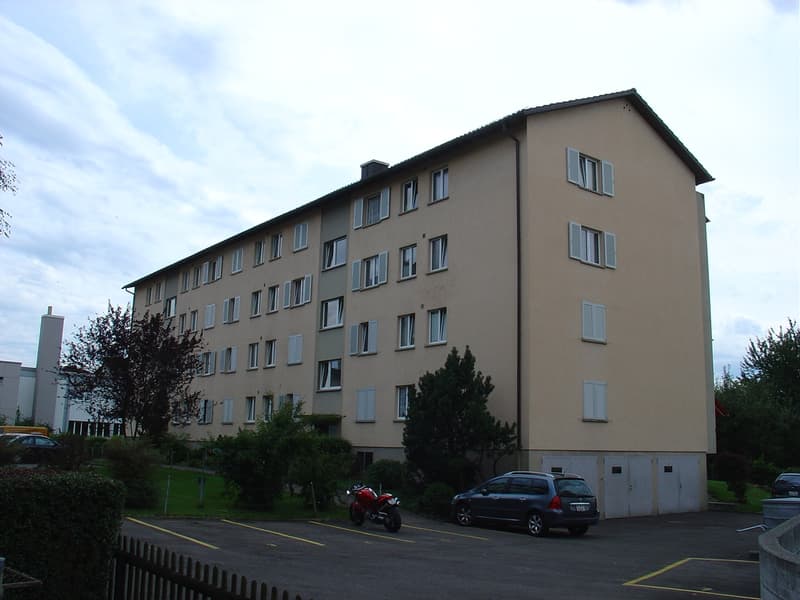 Opportunità attraente per inquilini abili (3)