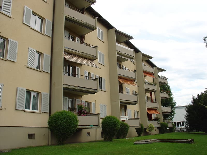 Opportunità attraente per inquilini abili (4)