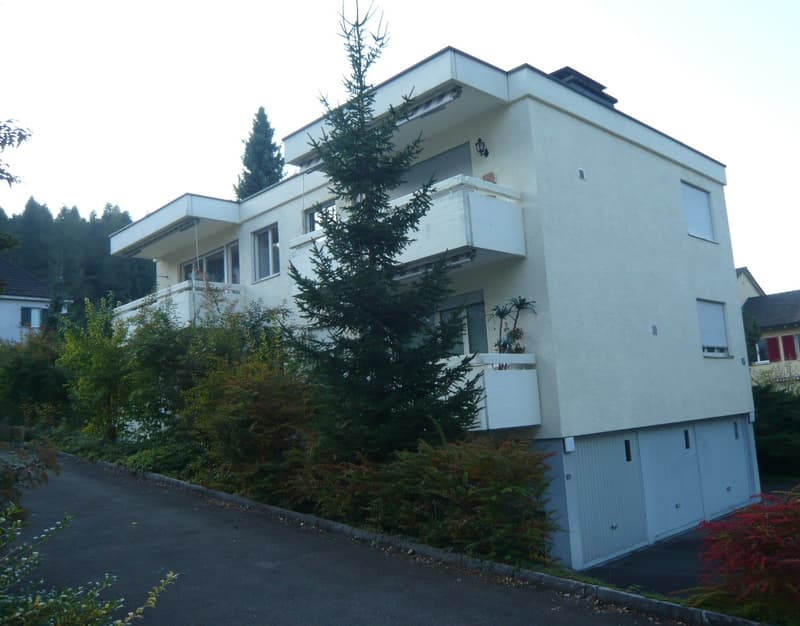 Appartamento temporaneo 2 locali con camino e balcone a Zürich-Affoltern (1)
