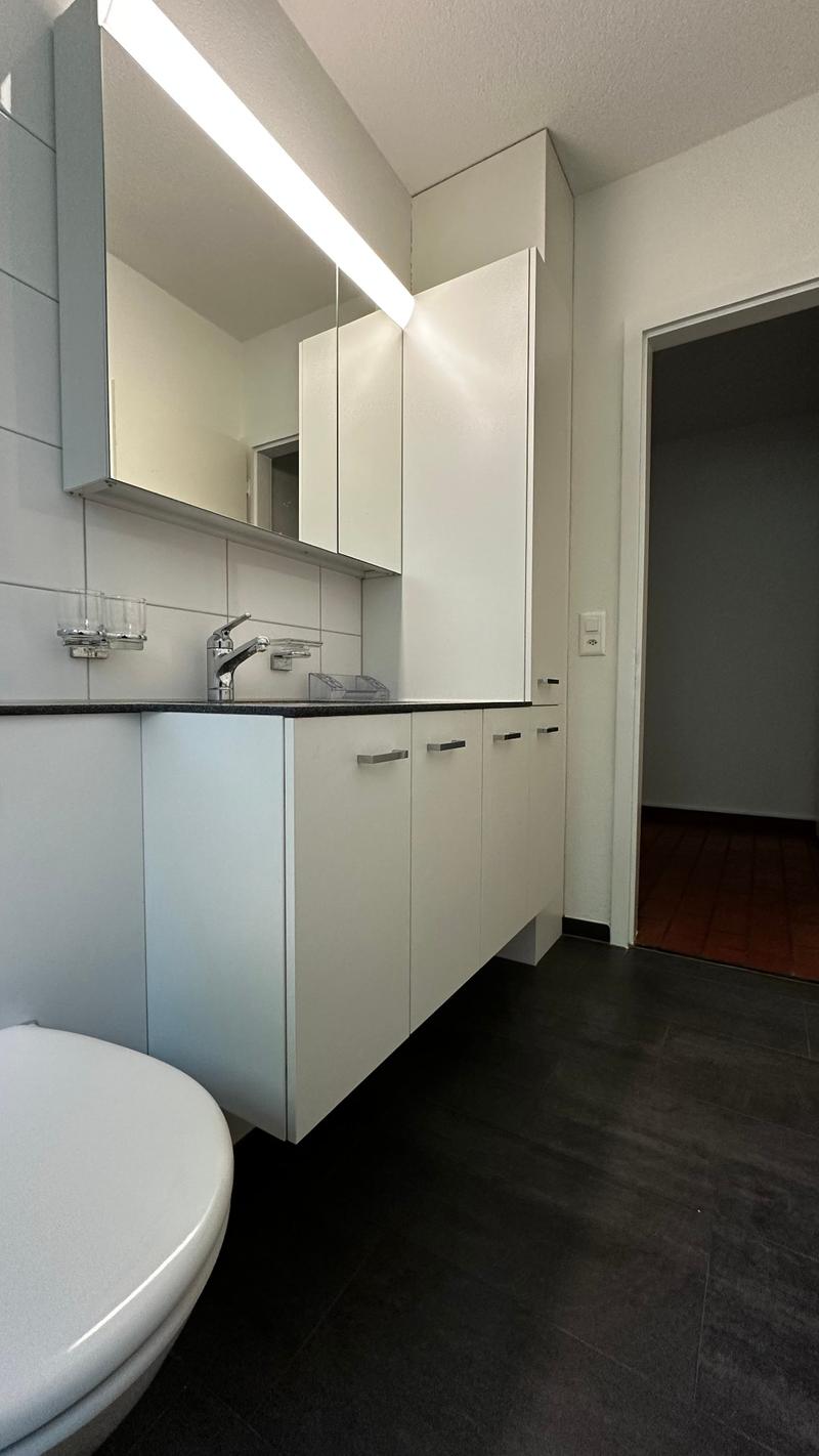 3-Zimmer-Wohnung in Oerlikon zu vermieten (4)