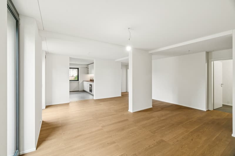 Exclusive 3.5 room apartment (2nd floor) - First occupancy after core renovation (7)