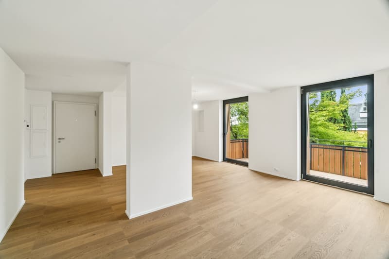 Exclusive 3.5 room apartment (2nd floor) - First occupancy after core renovation (8)