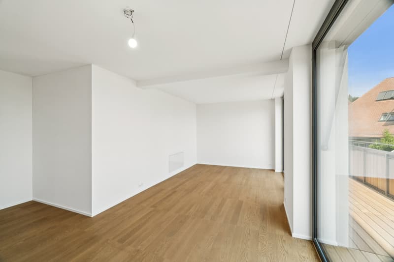 Appartamento esclusivo di 3,5 locali - Prima occupazione su Dolderstrasse (5)