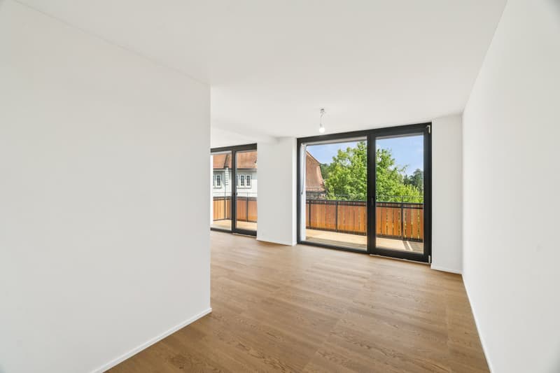 Appartamento esclusivo di 3,5 locali - Prima occupazione su Dolderstrasse (6)