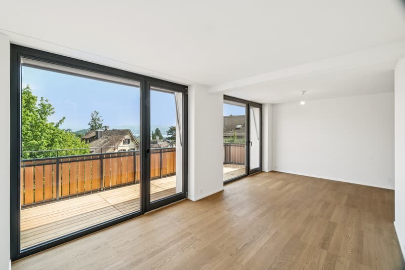 Appartamento esclusivo di 3,5 locali - Prima occupazione su Dolderstrasse (4)