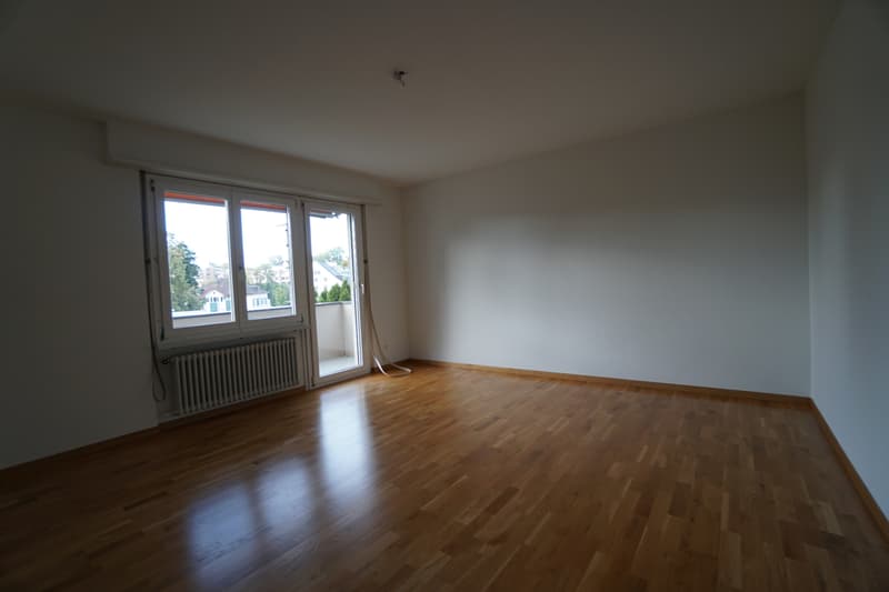 Living in Wetzikon (4)