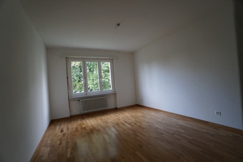 Living in Wetzikon (5)