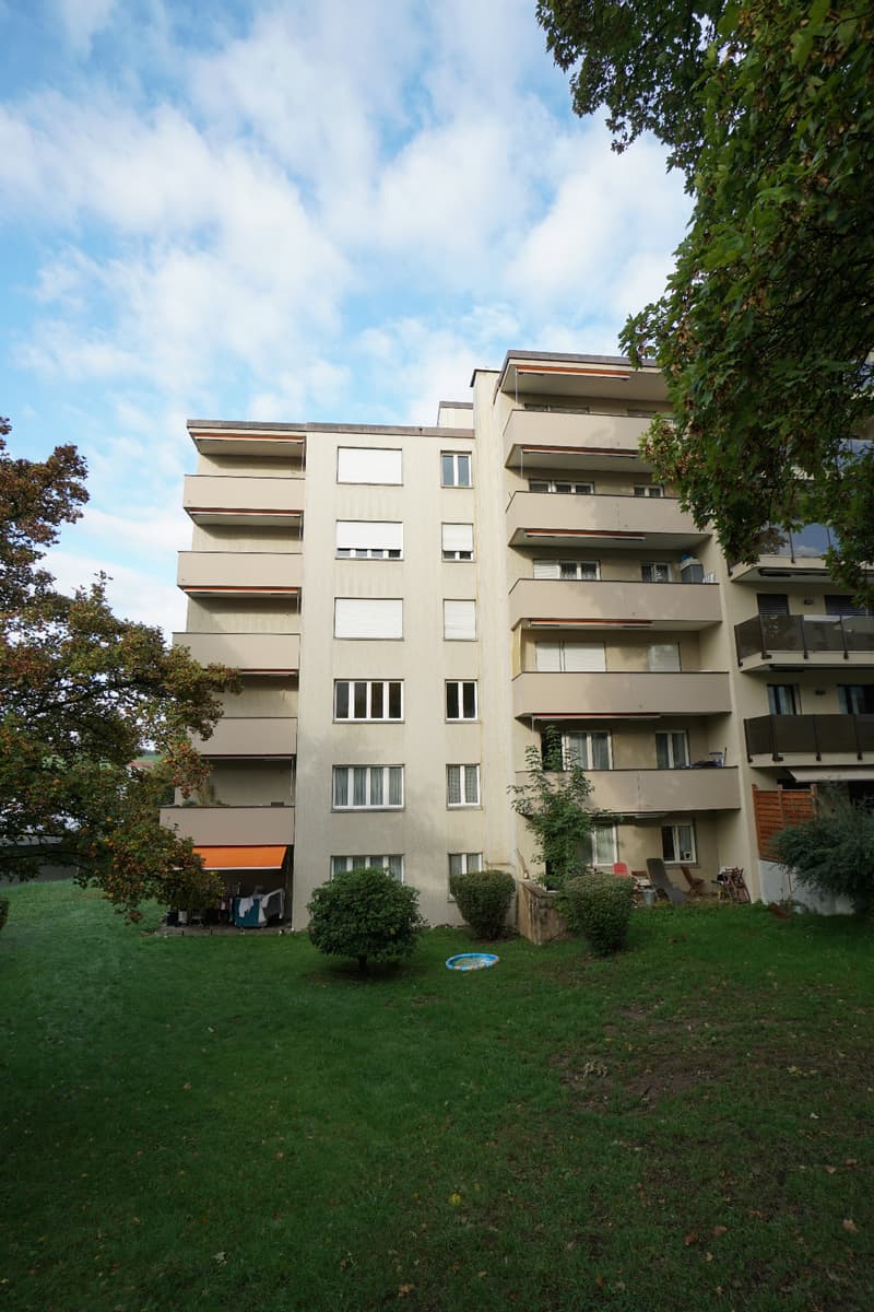 Living in Wetzikon (1)