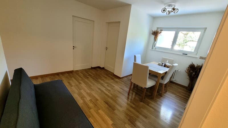 Schöne 3-Zimmerwohnung in Adliswil zu vermieten (4)