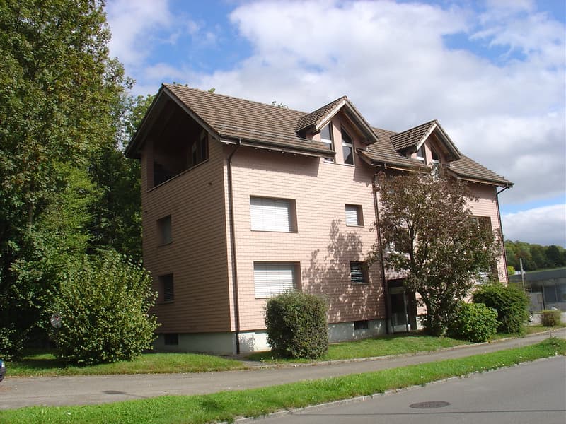 3.5-Zimmer-Wohnung in Otelfingen zu vermieten (1)