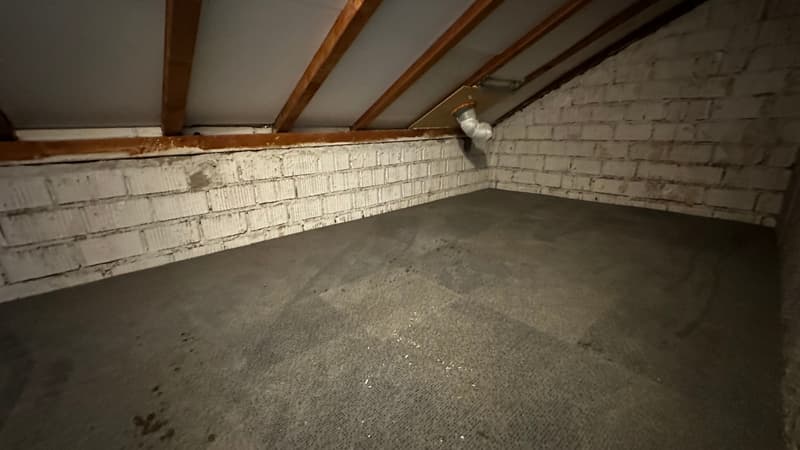 Erstvermietun nach Sanierung: 1-Zimmer-Dachwohnung (7)