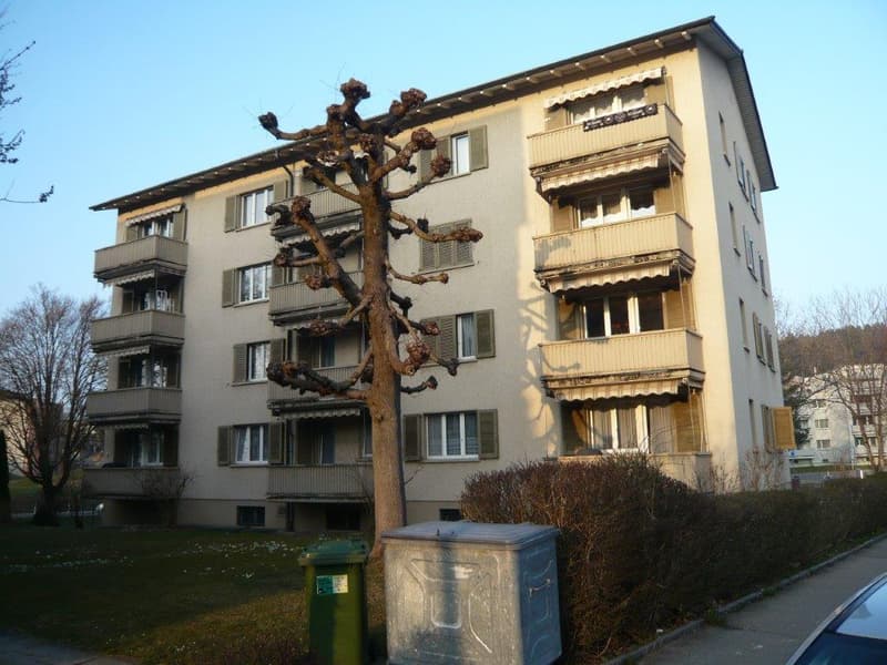 Wohnen in Effretikon (1)