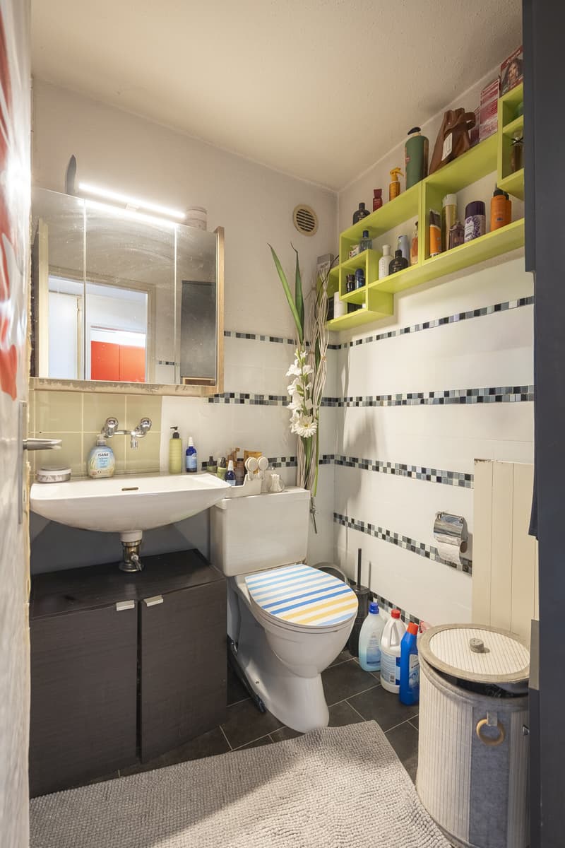 Attractive 2.5-room apartment with balcony (7)