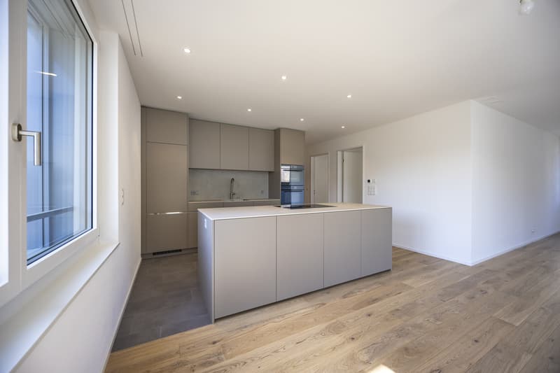 First occupancy modern living with a feel-good factor (10)