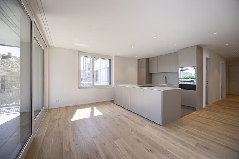 First occupancy modern living with a feel-good factor (8)