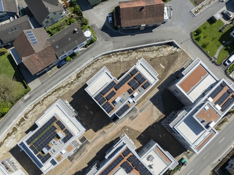 First-time occupancy - In a few steps to Lake Constance (2)