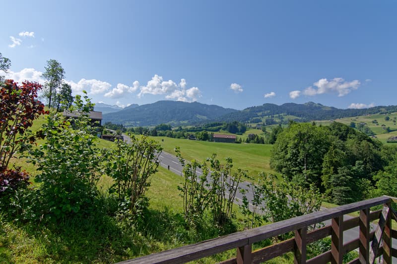 Detached single-family house with heart and charm in a natural location (13)