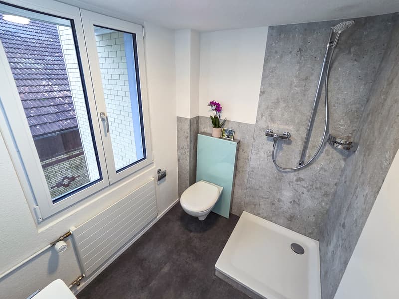 Maison multifamiliale entièrement louée avec huit appartements (12)