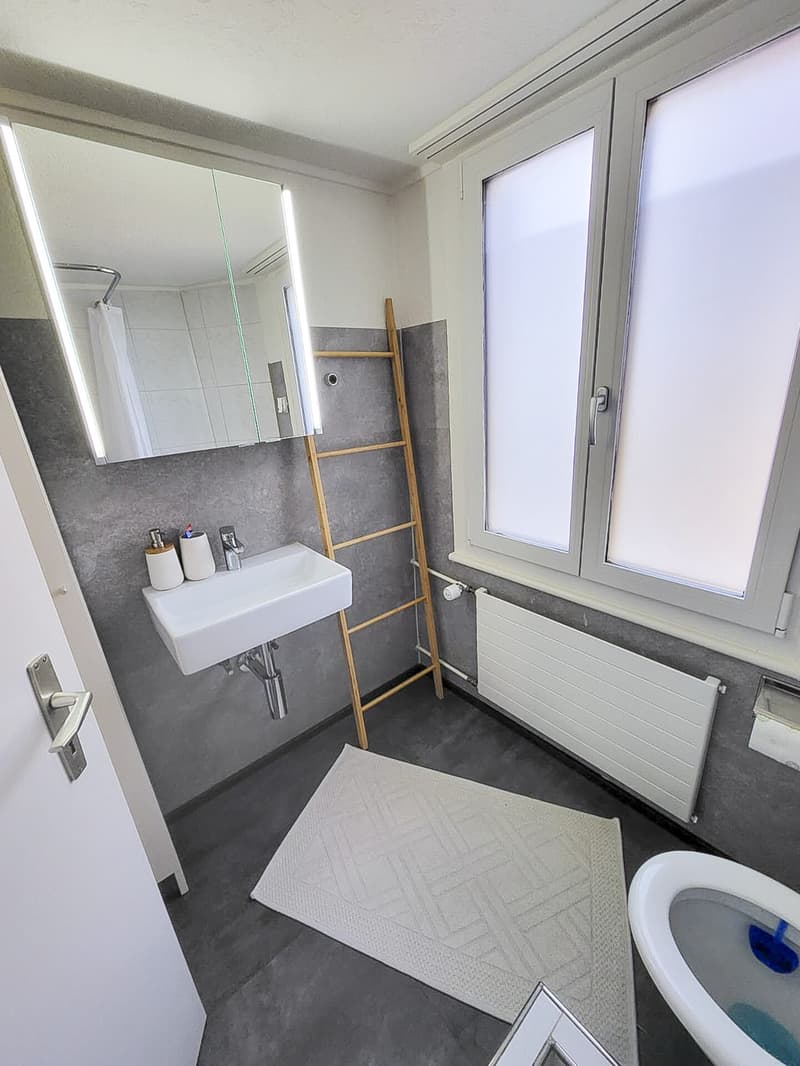 Maison multifamiliale entièrement louée avec huit appartements (13)