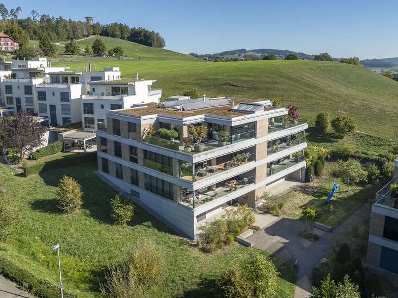 Raum für das Aussergewöhnliche exklusives Penthouse in Wil (2)