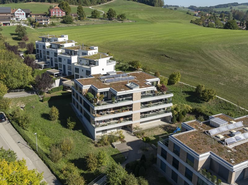 Raum für das Aussergewöhnliche exklusives Penthouse in Wil (1)