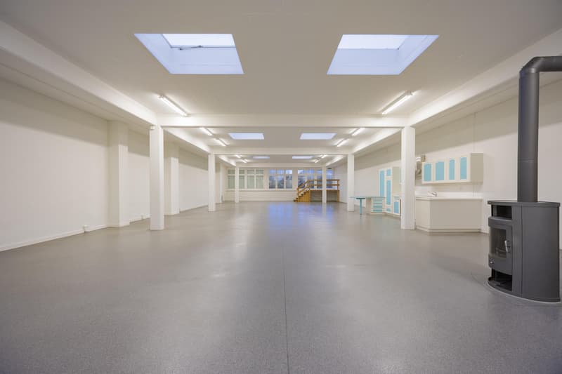 Appartamento loft unico con 320 m2 di spazio abitativo (2)