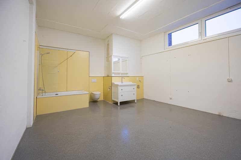 Appartamento loft unico con 320 m2 di spazio abitativo (5)