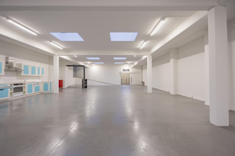 Appartamento loft unico con 320 m2 di spazio abitativo (3)