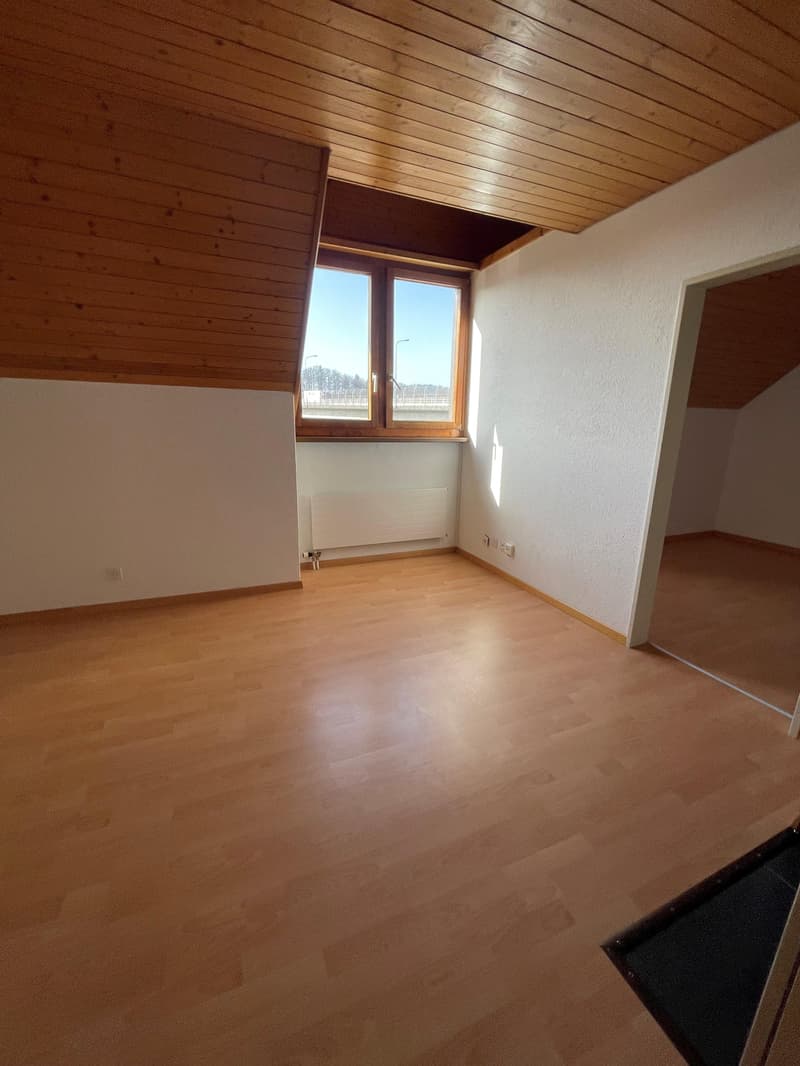 Affordable 2.5-room apartment in St. Gallen (limited until 31.07.2027) (1)