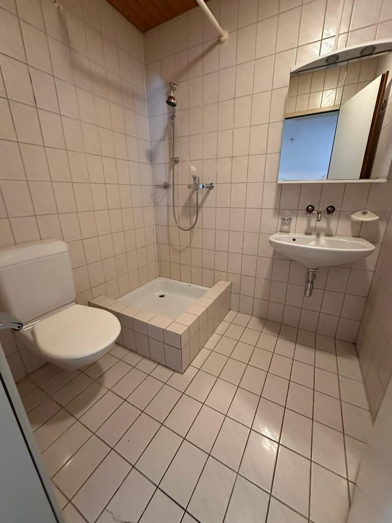 Affordable 2.5-room apartment in St. Gallen (limited until 31.07.2027) (5)