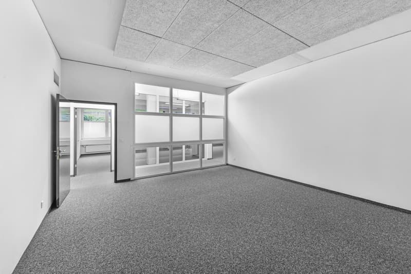 Immobile commerciale a St. Gallen (6)