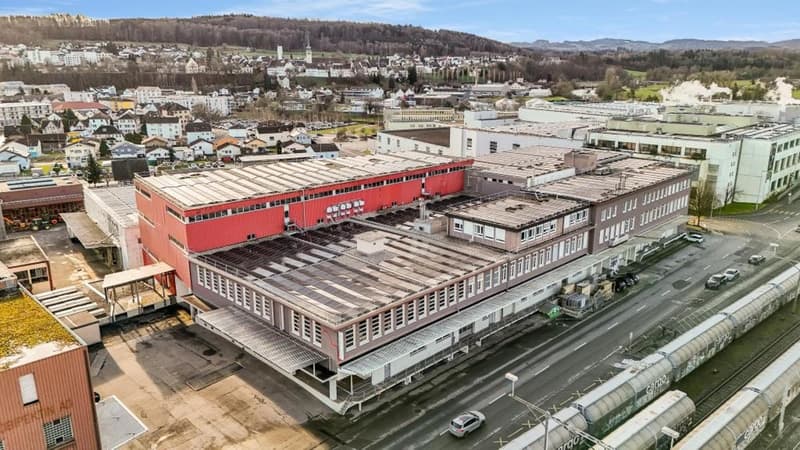Spazio di stoccaggio o produzione flessibile in affitto a Bischofszell (2)