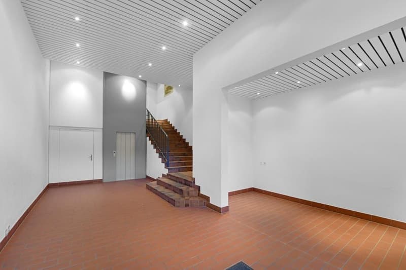 Prospettive imprenditoriali per l'uso di uffici, spazio di stoccaggio, pratica, studio a Bischoffszell (9)