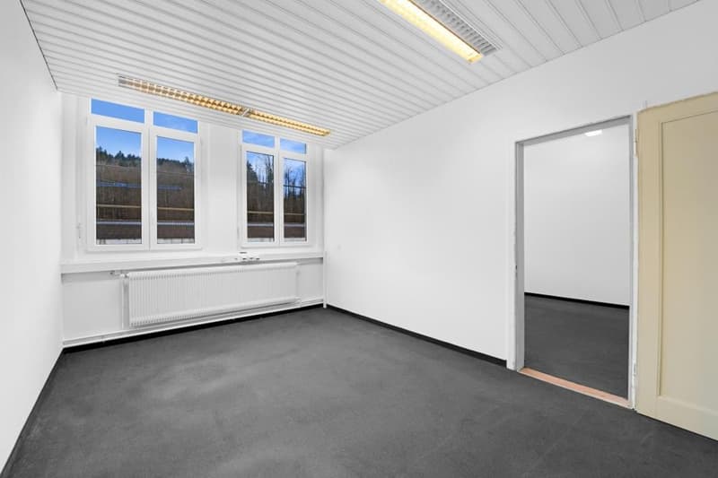 Prospettive imprenditoriali per l'uso di uffici, spazio di stoccaggio, pratica, studio a Bischoffszell (5)