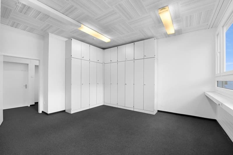 Prospettive imprenditoriali per l'uso di uffici, spazio di stoccaggio, studio, atelier (3)