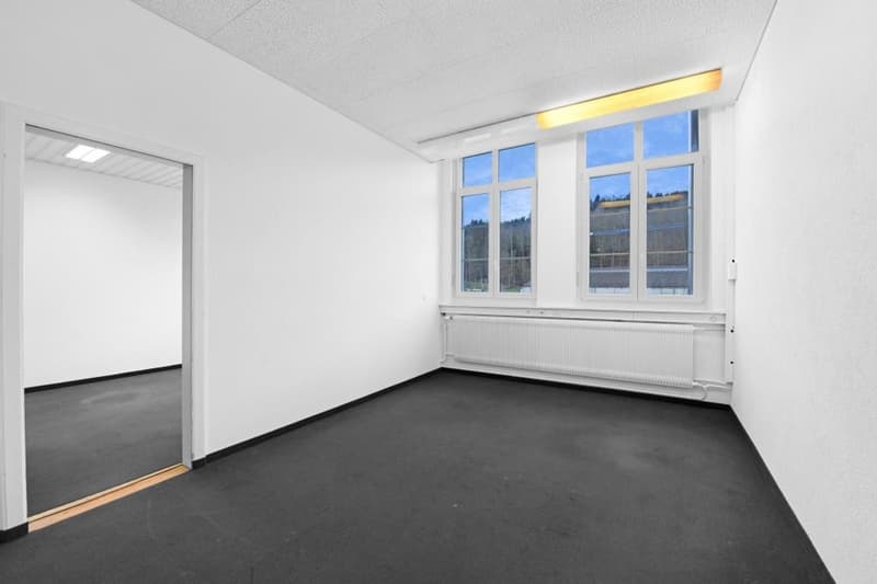 Prospettive imprenditoriali per l'uso di uffici, spazio di stoccaggio, studio, atelier (6)
