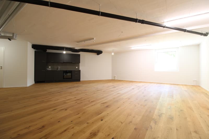 Modern commercial space in a new building (5)