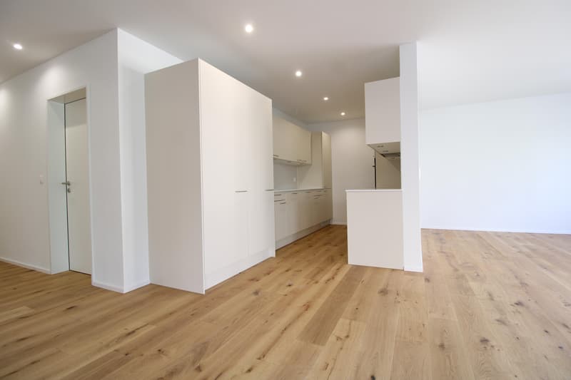 4.5 Zimmerwohnung in St. Gallen (2)